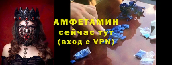 эйфоретик Няндома