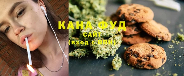 эйфоретик Няндома